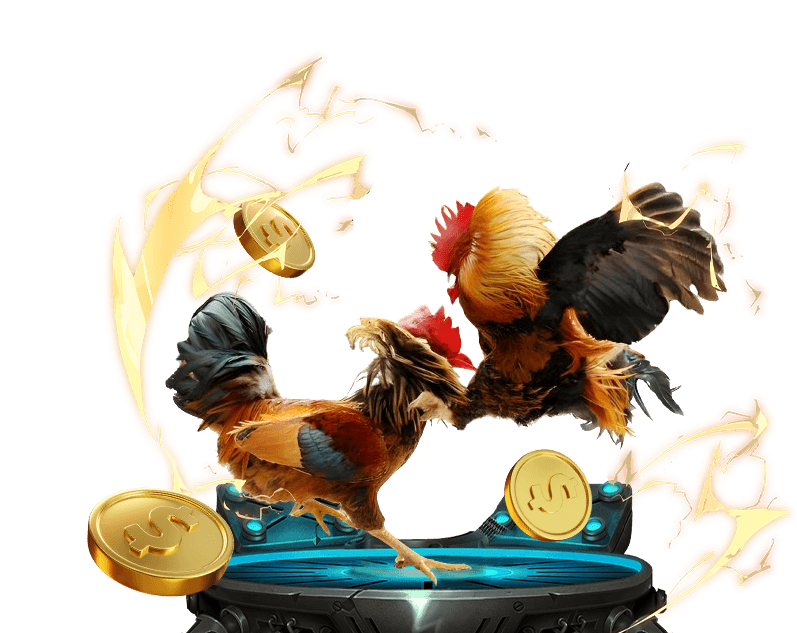 Cá cược Đá Gà trực tuyến